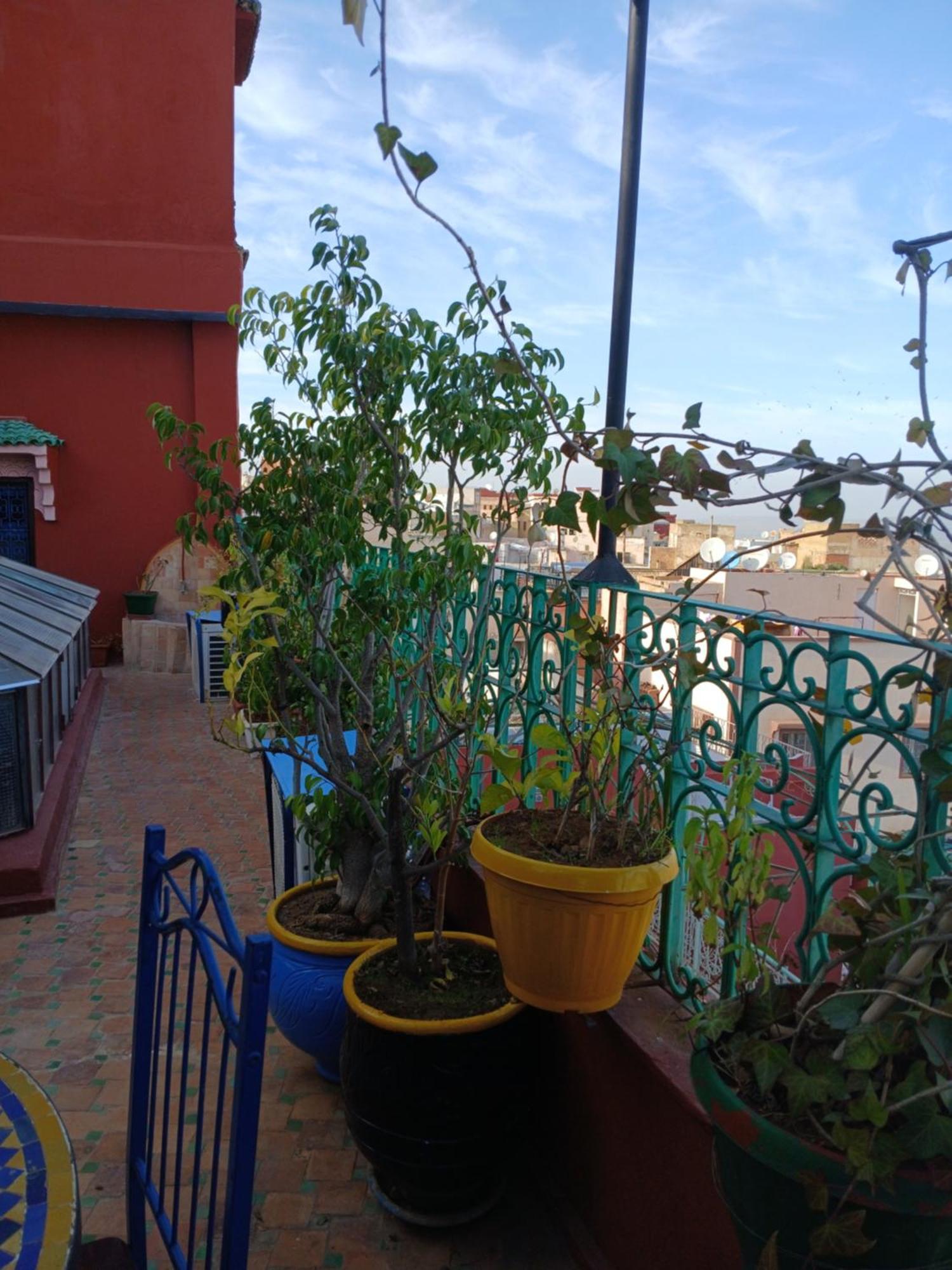 Riad Idrissi Meknes Ngoại thất bức ảnh